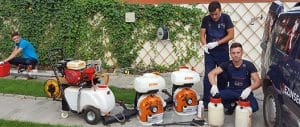 servicii deratizare