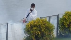 Cum se ne aparam de tantari servicii de dezinsectie