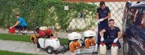 servicii dezinsectie 19