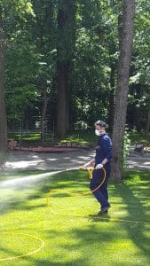 Dezinsectie purici, singura metoda capabila sa elimine gradul de infestare. Deratizare pureci, dezinsectie pulverizare si nebulizare