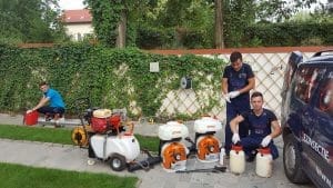 servicii de dezinsectie firme ddd deratizari