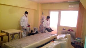 Plosnita de pat – combatere eficienta dezinsectii plosnite deratizari servicii ddd plosnite