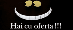 Dezinsectia, pret pe metrul patrat sau nu !