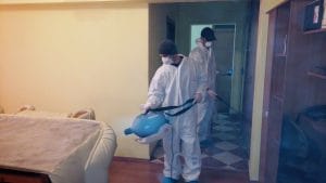Cum scap de plosnite dezinsectii deratizari servicii ddd dezinfectii plosnita de pat