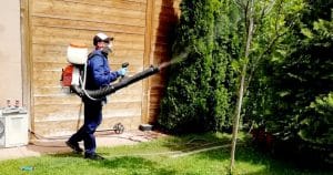 dezinsectie pulverizare atomizor FIRMA DDD