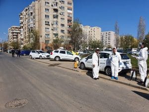 ddd deratizare dezinsectie totul-despre-contracte-dezinsectie