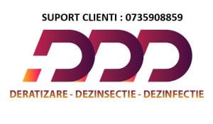 ddd deratizare dezinsectie totul-despre-contracte-dezinsectie