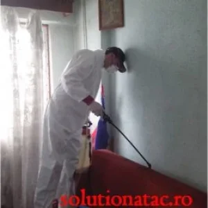 contract dezinsectie gandaci deratizare