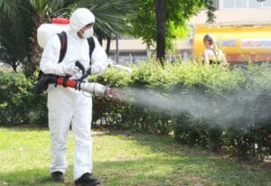 administrare imobile dezinsectii si deratizari servicii deratizari